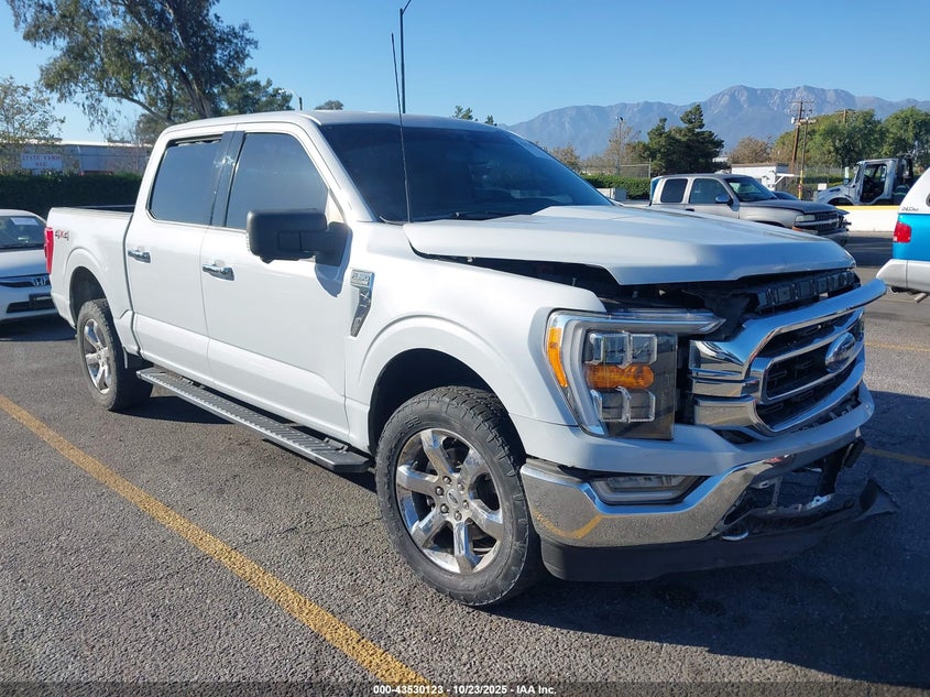 FORD F-150 XLT