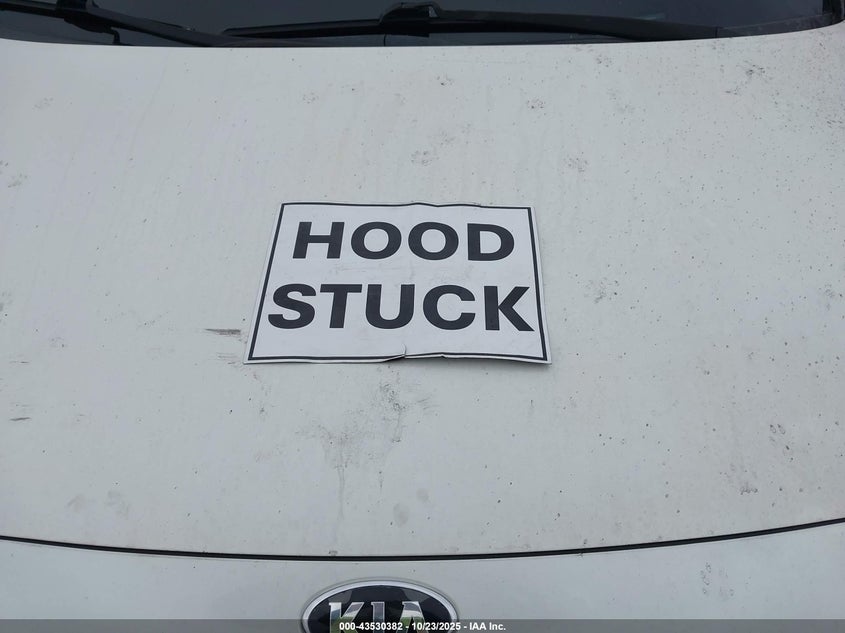 2015 KIA SEDONA SX KNDMC5C12F6079736