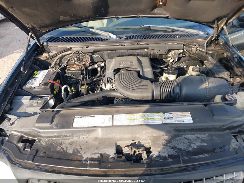 1999 Ford Expedition Eddie Bauer/Xlt VIN: 1FMRU17L9XLC23725 Lot: 43530767