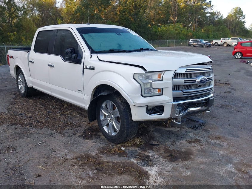 FORD F-150 PLATINUM