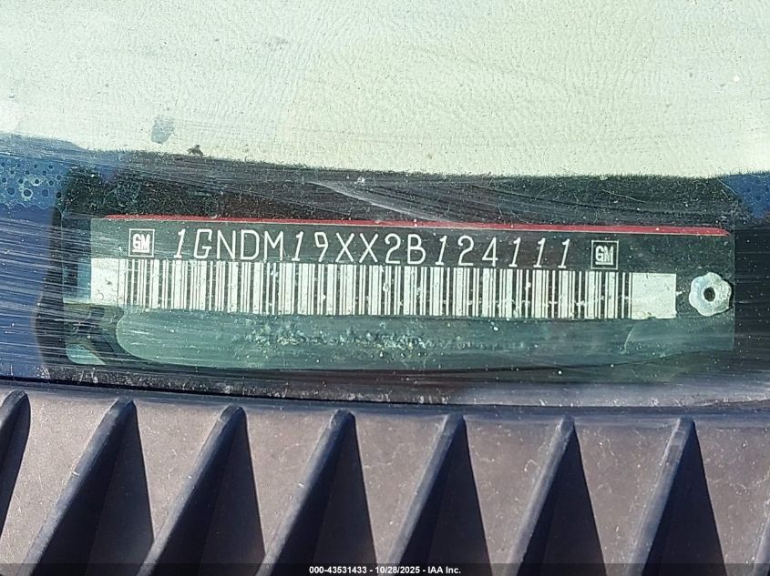 2002 Chevrolet Astro Ls VIN: 1GNDM19XX2B124111 Lot: 43531433