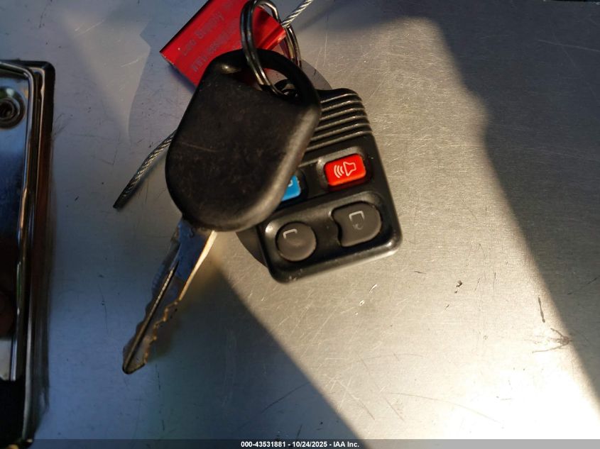 2004 Ford Expedition Eddie Bauer VIN: 1FMFU17LX4LAA0831 Lot: 43531881