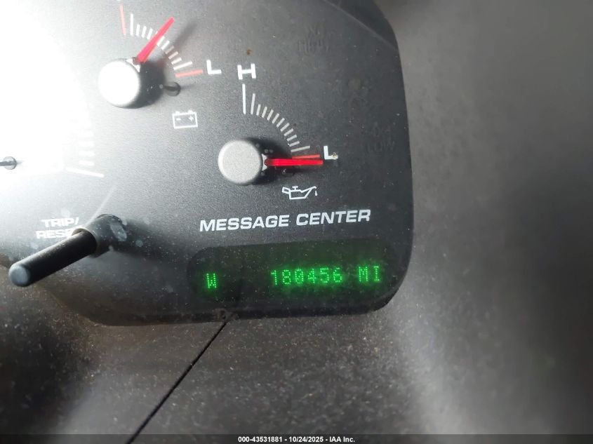 2004 Ford Expedition Eddie Bauer VIN: 1FMFU17LX4LAA0831 Lot: 43531881