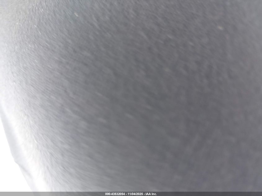 2024 Chevrolet Express Cutaway Work Van VIN: 1GB0GRFP1R1259385 Lot: 43532054