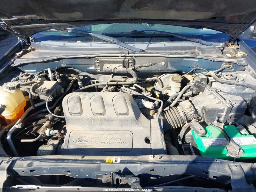 2003 Ford Escape Xlt VIN: 1FMYU93193KC87505 Lot: 43532686