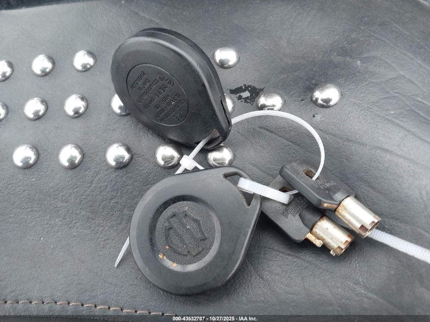 2015 Harley-Davidson Flstc Heritage Softail Classic VIN: 1HD1BWV1XFB018620 Lot: 43532707