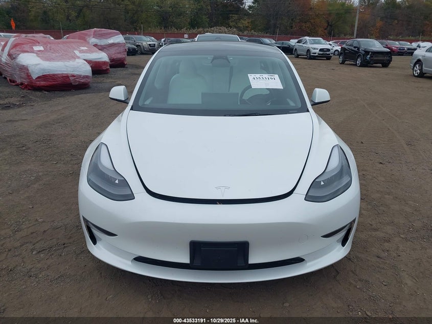 2023 Tesla Model 3 Rear-Wheel Drive VIN: 5YJ3E1EA9PF568622 Lot: 43533191