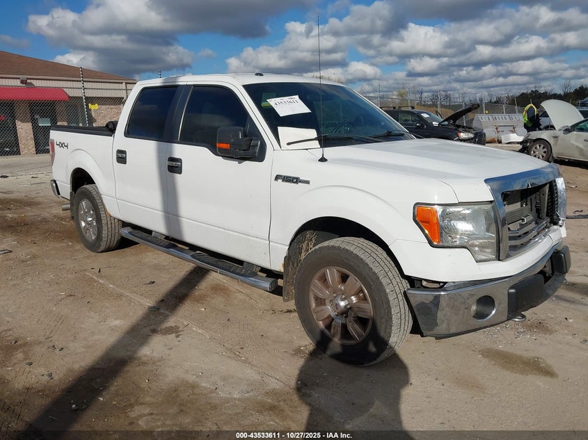 FORD F-150 XLT