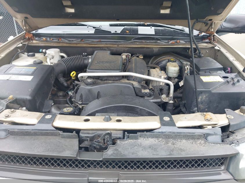 2005 Chevrolet Trailblazer Ls VIN: 1GNDS13S952316501 Lot: 43535313