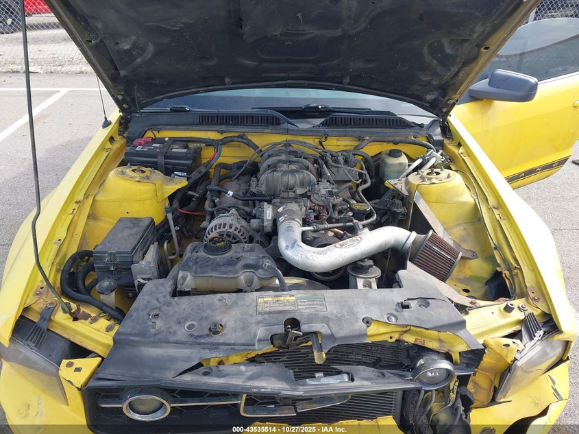 2006 Ford Mustang V6 VIN: 1ZVHT80N065151143 Lot: 43535514