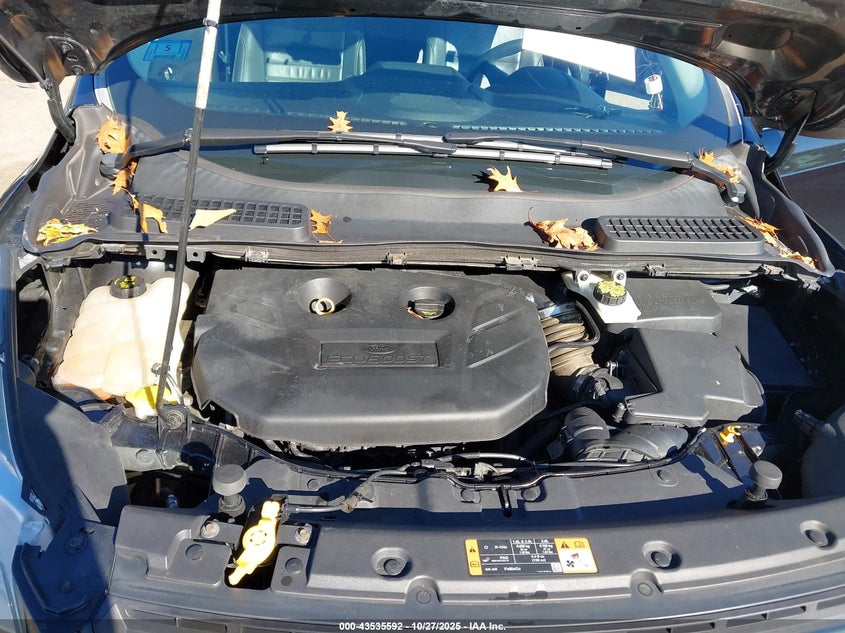 2015 FORD ESCAPE SE 1FMCU9G94FUA72164