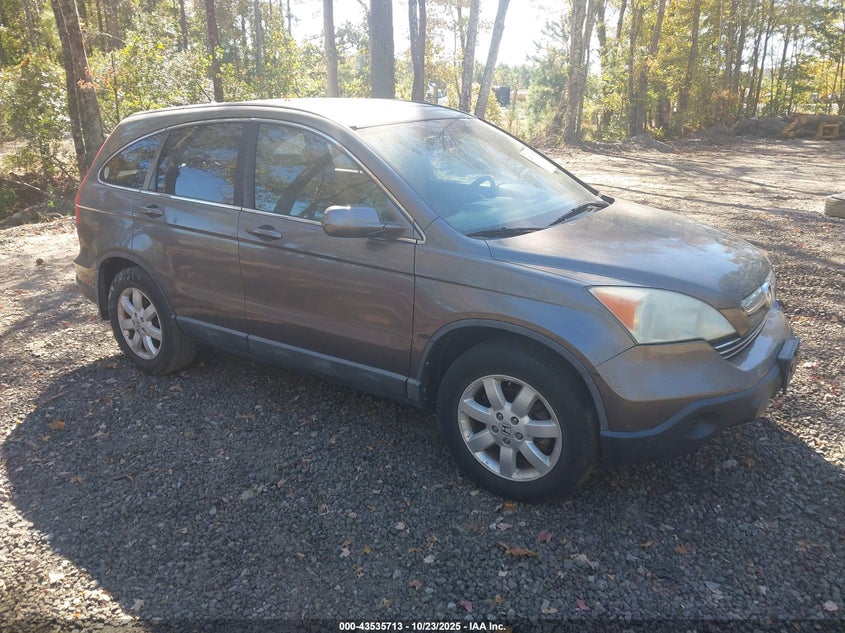 5J6RE38769L026250 2009 Honda Cr-V Ex-L auction photo 1