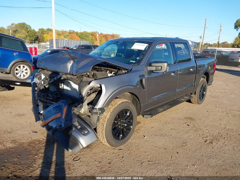 2025 FORD F-150 XLT 1FTFW3L8XSFA46043