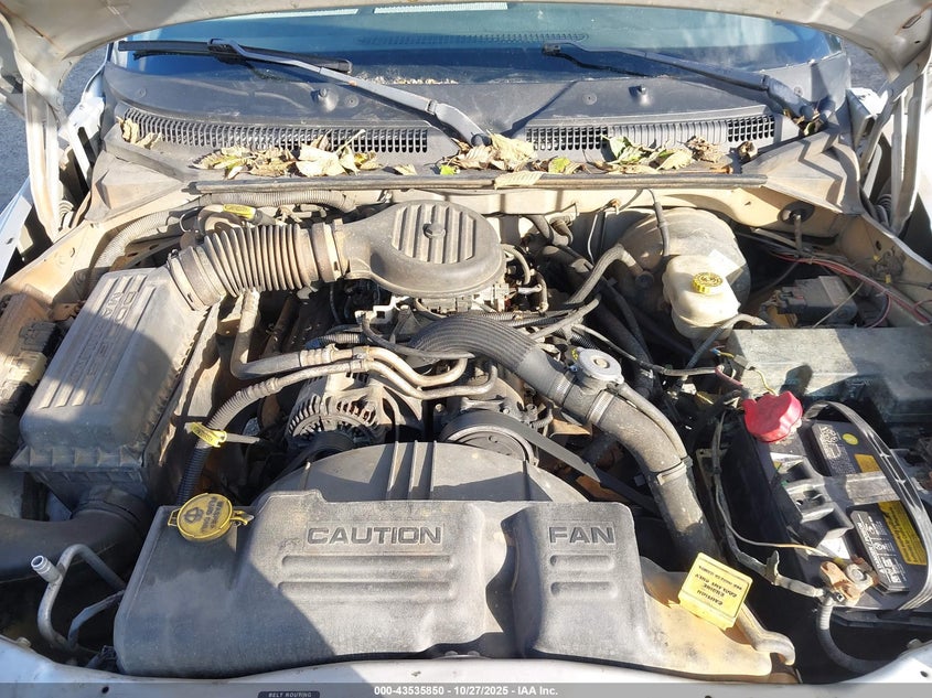 1B7GL12X42S708569 2002 DODGE DAKOTA photo no. 10