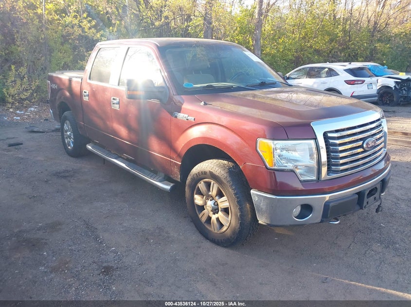 FORD F-150 FX4/HARLEY-DAVIDSON/KING RANCH/LARIAT/PLATINUM/XL/XLT