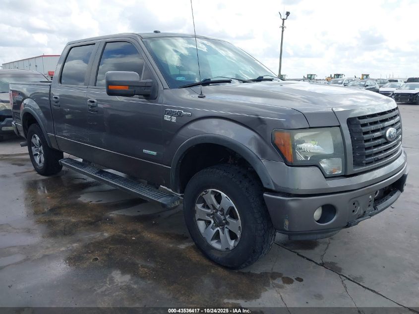 FORD F-150 FX4