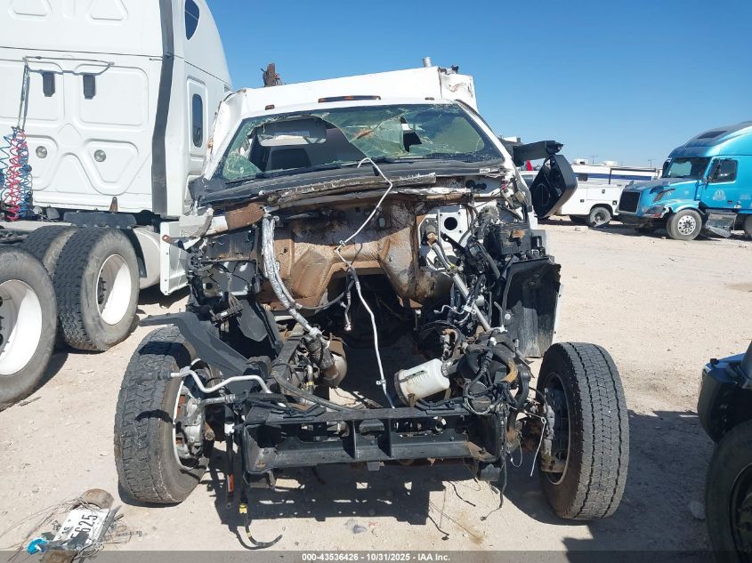 2023 International Cv515 VIN: 1HTKSSWM3PH462671 Lot: 43536426