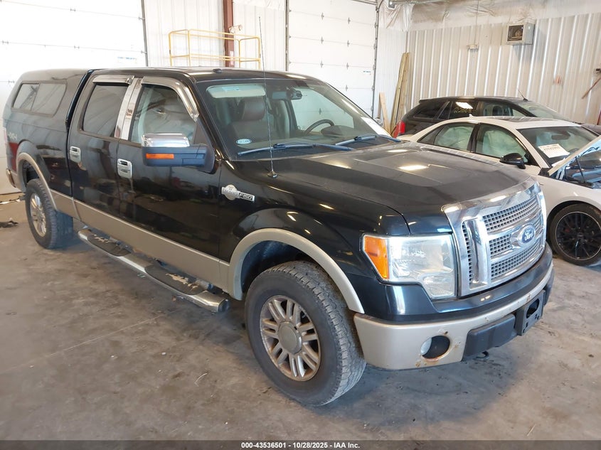 FORD F-150 FX4/HARLEY-DAVIDSON/KING RANCH/LARIAT/PLATINUM/XL/XLT