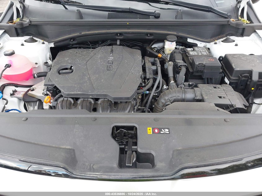 2025 KIA SPORTAGE EX 5XYK33DF1SG277530