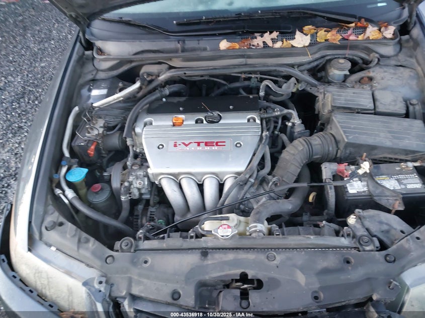 2004 Acura Tsx VIN: JH4CL96884C024703 Lot: 43536918