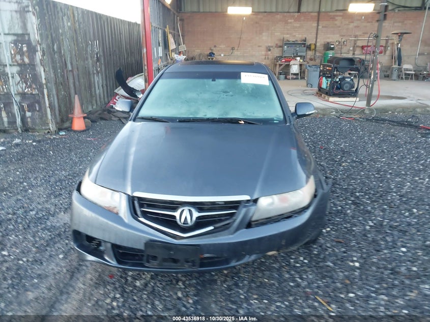 2004 Acura Tsx VIN: JH4CL96884C024703 Lot: 43536918