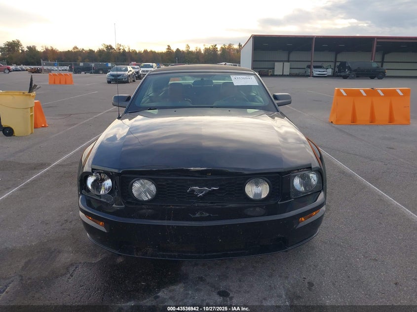 2006 Ford Mustang Gt VIN: 1ZVHT85H165118302 Lot: 43536942