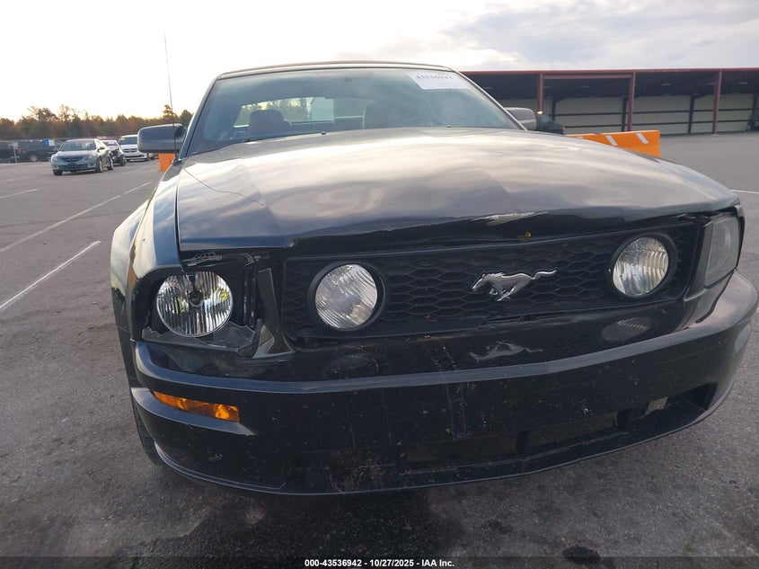 2006 Ford Mustang Gt VIN: 1ZVHT85H165118302 Lot: 43536942