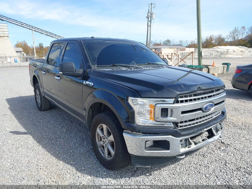 FORD F-150 XLT