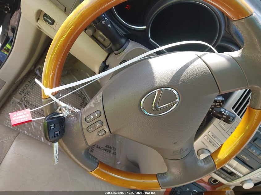 2004 Lexus Rx 330 VIN: JTJGA31U440012556 Lot: 43537200