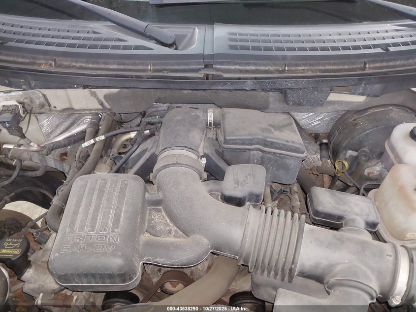 2009 Ford F-150 VIN: 1FTPX14V29FA21528 Lot: 43538290