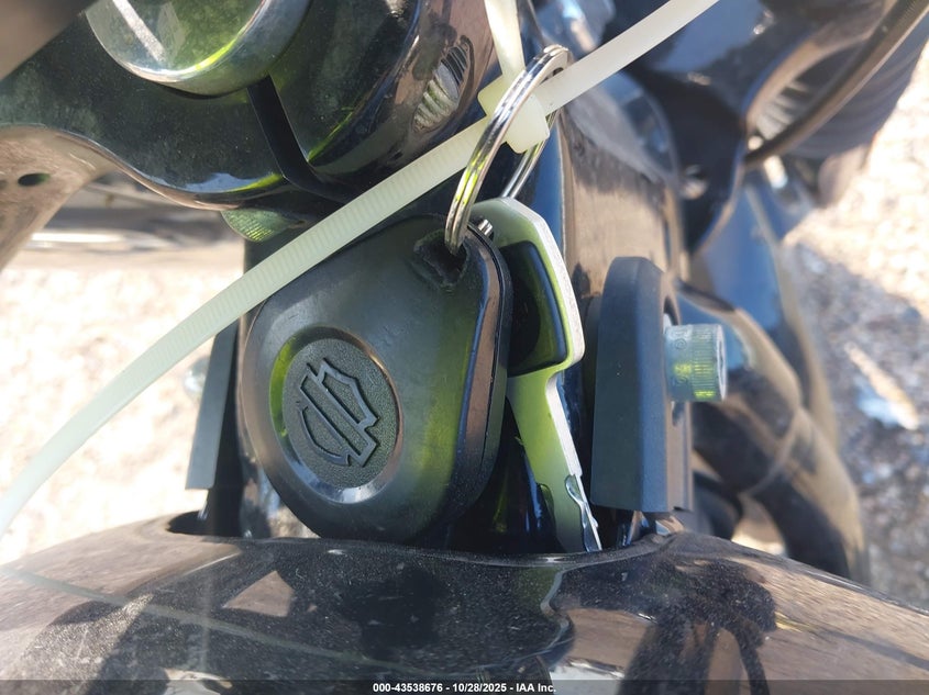 2020 Harley-Davidson Fxbb VIN: 1HD1YJJ1XLB071238 Lot: 43538676