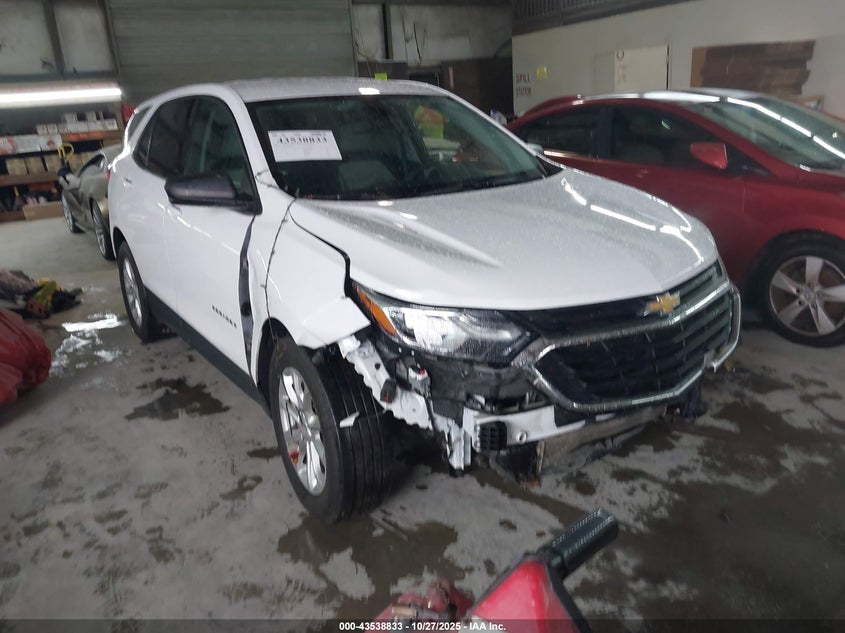 2019 CHEVROLET EQUINOX LS - 2GNAXHEVXK6119565