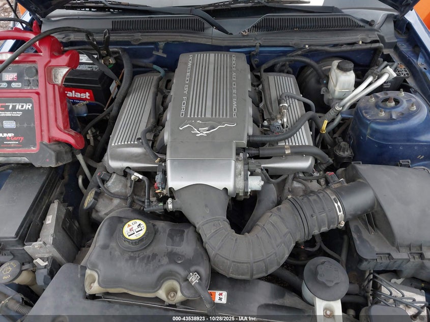 2009 Ford Mustang Gt/Gt Premium VIN: 1ZVHT82HX95120638 Lot: 43538923