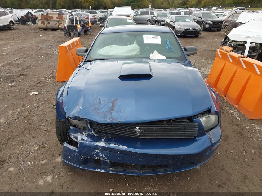 2009 Ford Mustang Gt/Gt Premium VIN: 1ZVHT82HX95120638 Lot: 43538923