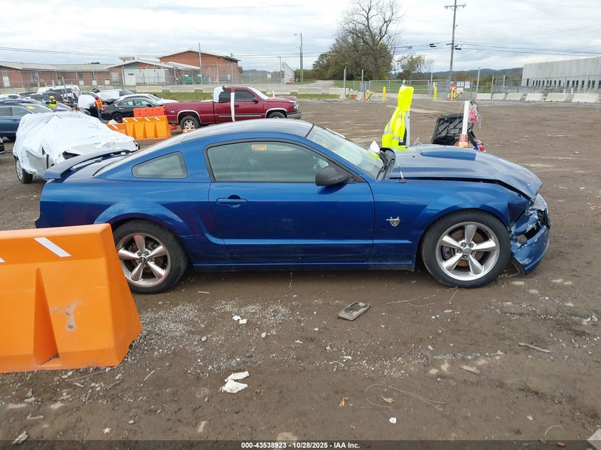2009 Ford Mustang Gt/Gt Premium VIN: 1ZVHT82HX95120638 Lot: 43538923