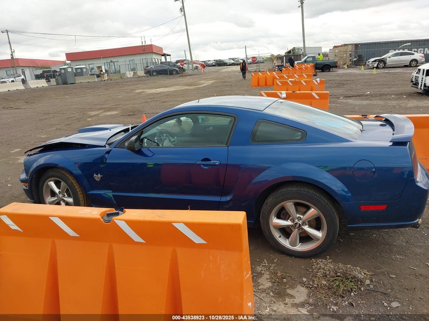 2009 Ford Mustang Gt/Gt Premium VIN: 1ZVHT82HX95120638 Lot: 43538923