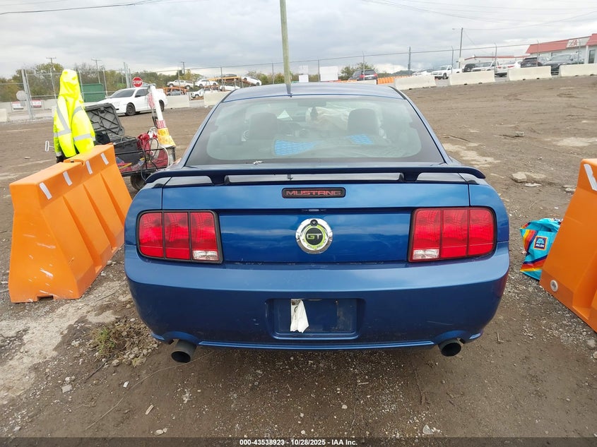 2009 Ford Mustang Gt/Gt Premium VIN: 1ZVHT82HX95120638 Lot: 43538923