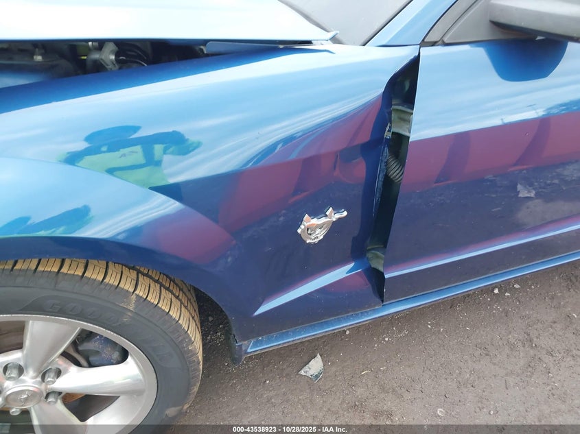 2009 Ford Mustang Gt/Gt Premium VIN: 1ZVHT82HX95120638 Lot: 43538923