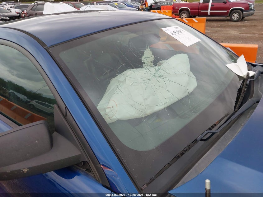 2009 Ford Mustang Gt/Gt Premium VIN: 1ZVHT82HX95120638 Lot: 43538923