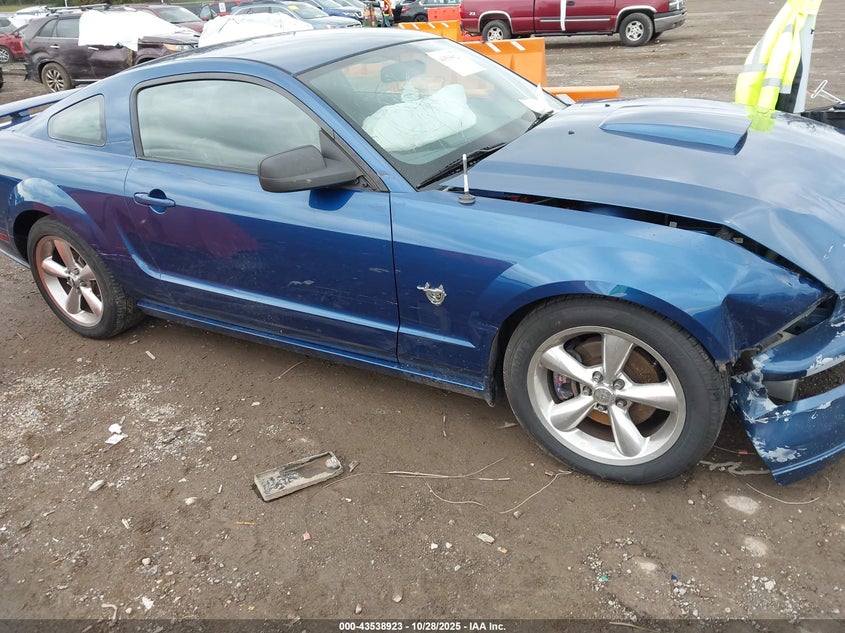 2009 Ford Mustang Gt/Gt Premium VIN: 1ZVHT82HX95120638 Lot: 43538923