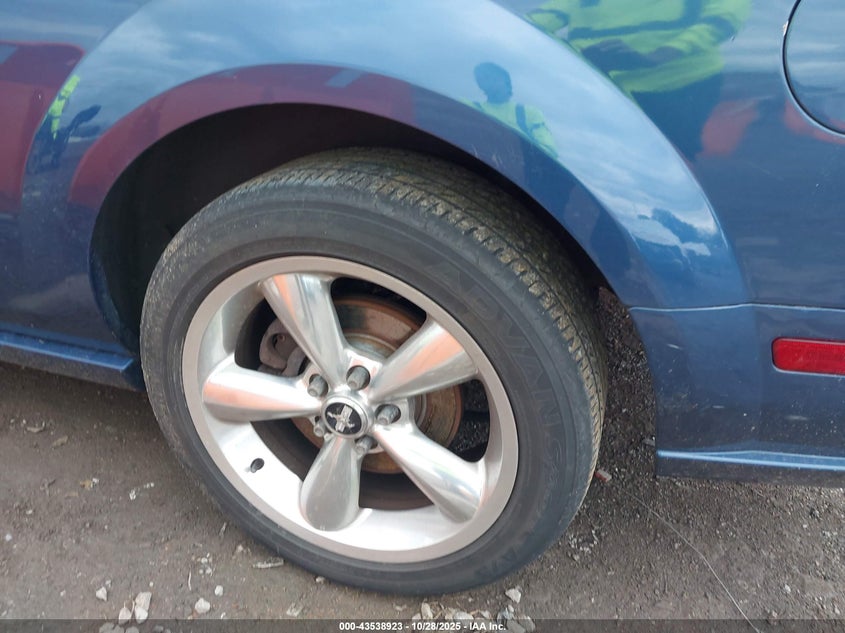 2009 Ford Mustang Gt/Gt Premium VIN: 1ZVHT82HX95120638 Lot: 43538923