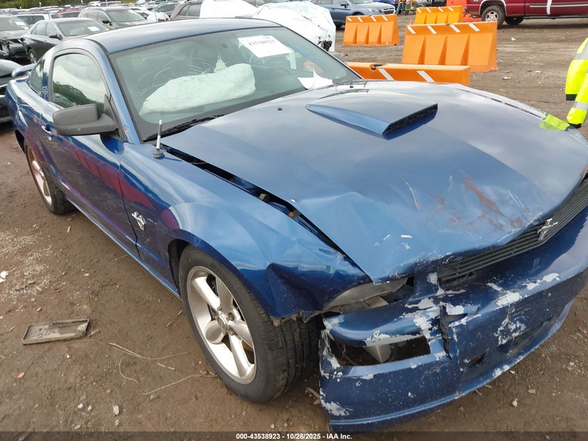 2009 Ford Mustang Gt/Gt Premium VIN: 1ZVHT82HX95120638 Lot: 43538923