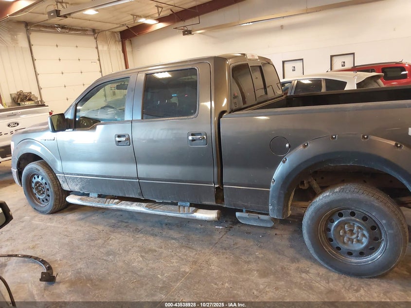 2009 Ford F-150 Fx4/King Ranch/Lariat/Platinum/Xl/Xlt VIN: 1FTPW14V89FA90176 Lot: 43538928