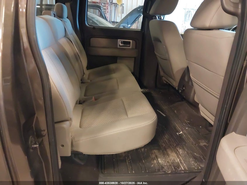 2009 Ford F-150 Fx4/King Ranch/Lariat/Platinum/Xl/Xlt VIN: 1FTPW14V89FA90176 Lot: 43538928