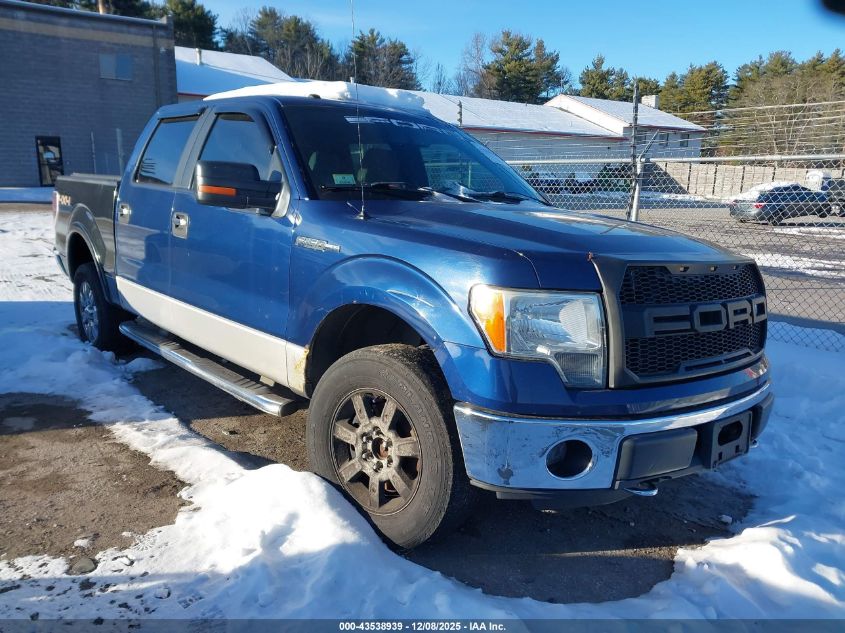 FORD F-150 XLT