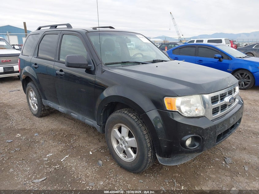 FORD ESCAPE XLT