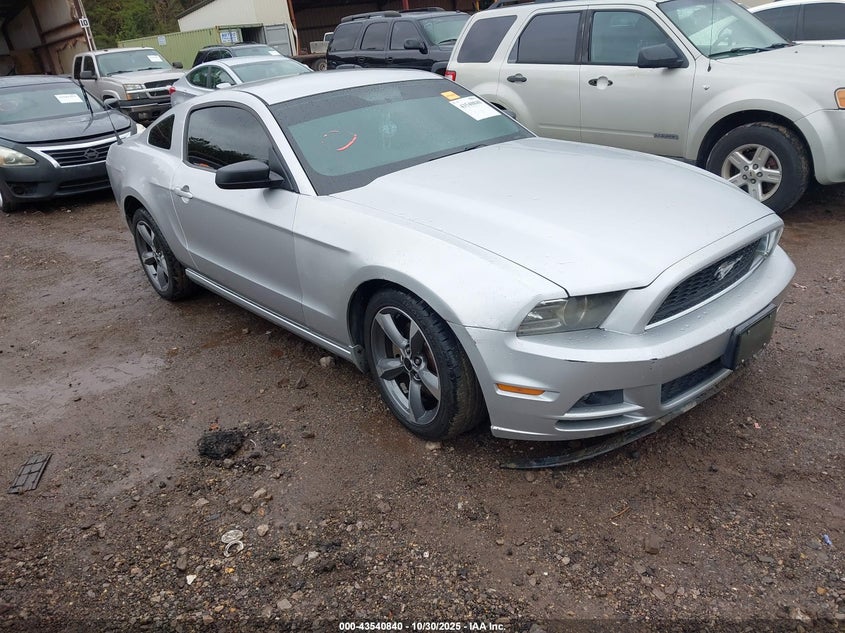 FORD MUSTANG V6