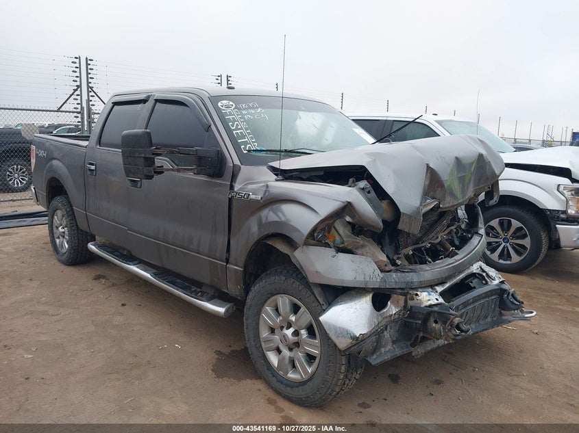 FORD F-150 FX4/HARLEY-DAVIDSON/KING RANCH/LARIAT/PLATINUM/XL/XLT