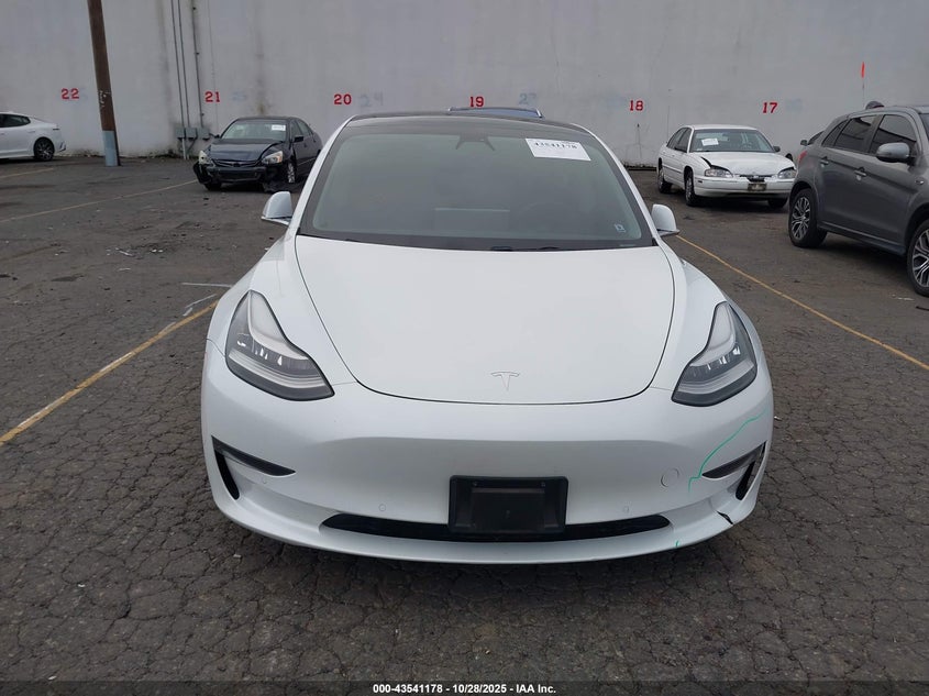 2020 Tesla Model 3 Standard Range Plus Rear-Wheel Drive/Standard Range Rear-Wheel Drive VIN: 5YJ3E1EA7LF806364 Lot: 43541178