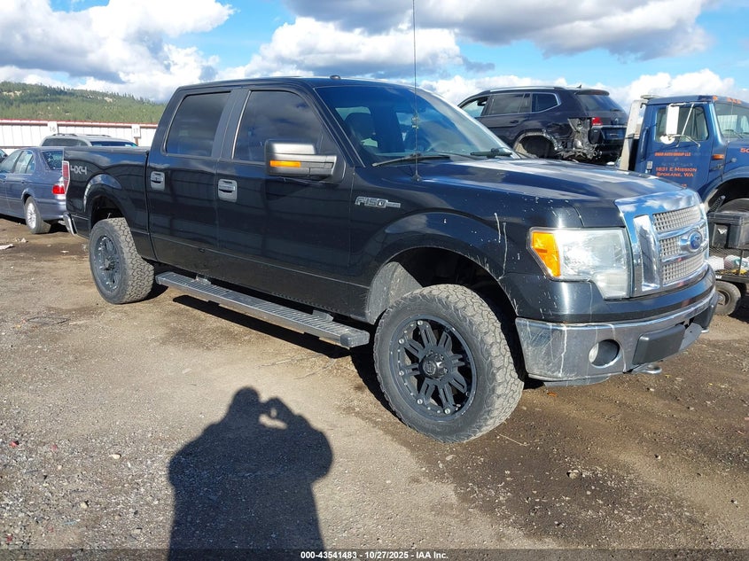 FORD F-150 FX4/HARLEY-DAVIDSON/KING RANCH/LARIAT/PLATINUM/XL/XLT